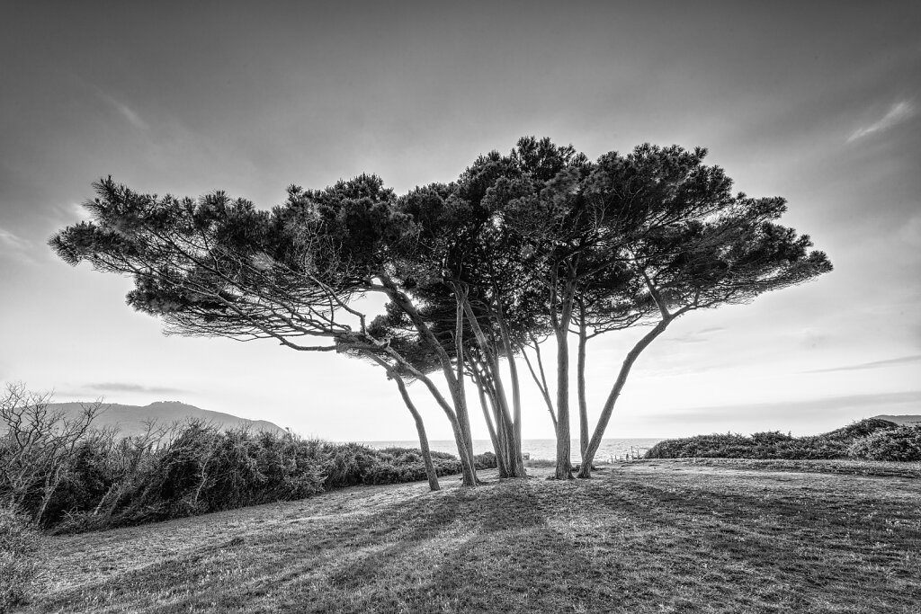 20190617-DSC8226-DSC8230-HDR-Bearbeitet.jpg